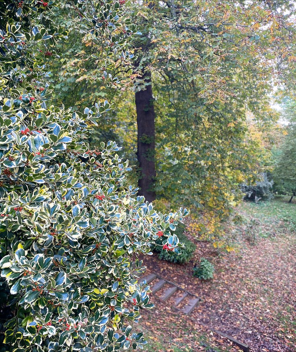 berkeleycastle's tweet photo. As autumn gives way to winter, we enjoy all the changes in the Castle gardens.
#berkeleycastle #castle #englishcastle #medievalcastle #gardens #autumn #autumngarden #castlesofinstagram #instacastle #fundayout #familydayout #cotswoldcastle #swisbest #loveuk #familytime #makingmem https://t.co/IjUpug1A2R