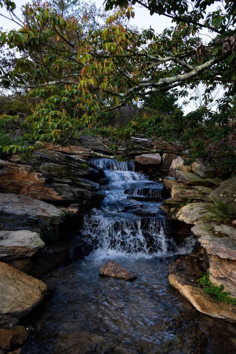 JmanInABox's tweet photo. “Just let go – and fall like a little waterfall.” – Bob Ross. #photography #photographer #sony #sonyalpha #sonya7riv #sonya7ri4 #a7riv #a7r4 #longwoodgardens #longwoodgardensphotography #longwoodgardensphotographer #walterfall #waterfallphotography #bobross #bobrossquotes #inspre https://t.co/HoulVTGQ8m