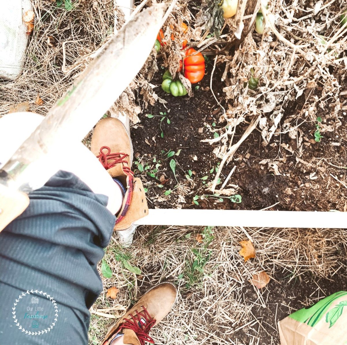 TSCStores's tweet photo. Kiri describes herself as a city girl, who wishes she was a country girl, who is currently living in the ‘burbs. By day Kiri works for a bank and fills her spare time blogging, making purses and generally never sitting still.
@Kodiak_Boots #builtforwhatmatters https://t.co/pWUxJKUS5y