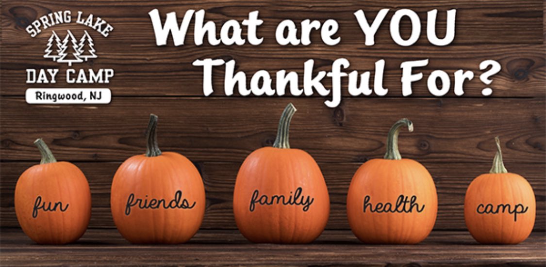 Spring Lake Day Camp tweet media