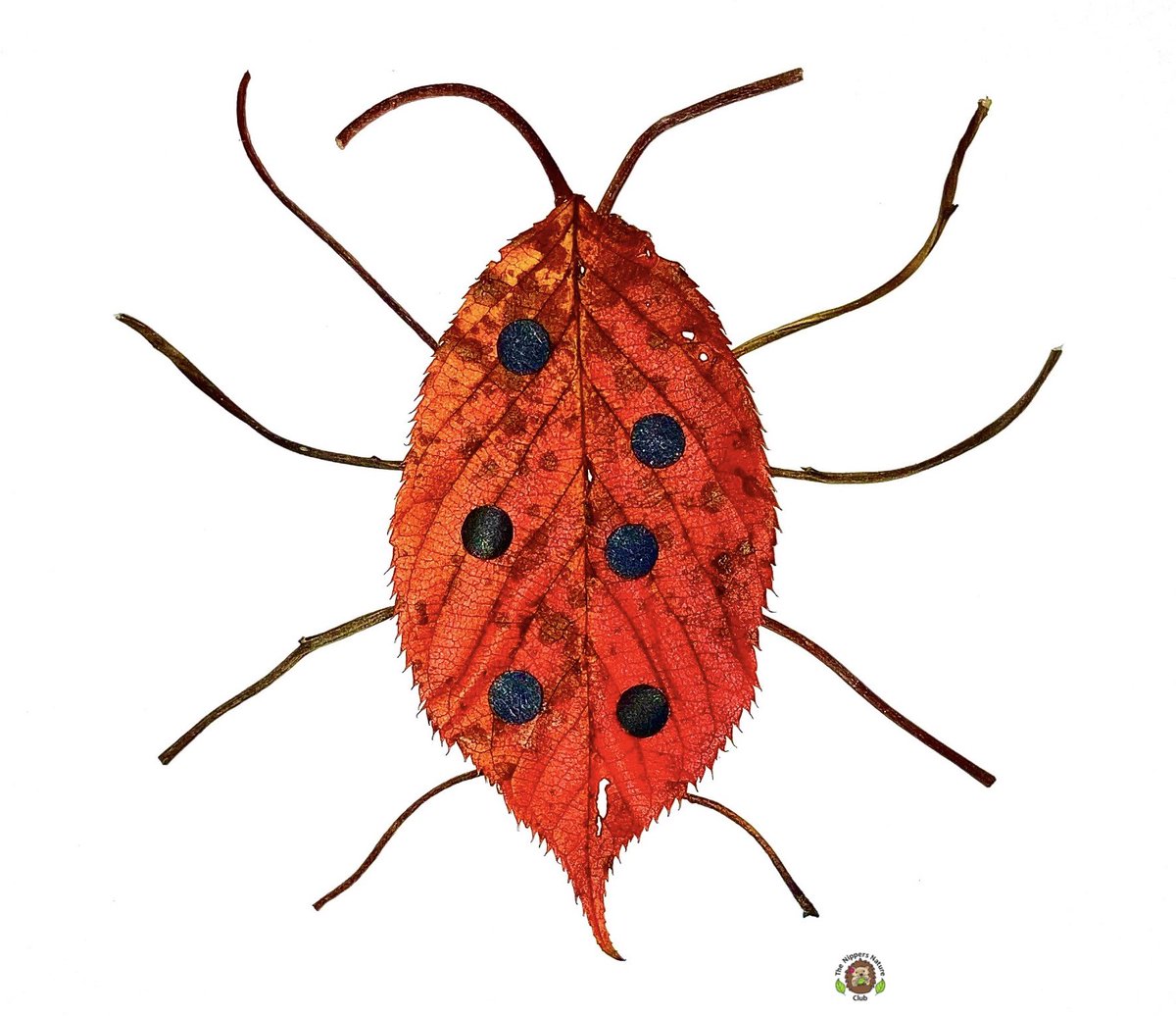 Making minibeasts from natural materials is a fantastic way to encourage outdoor exploration, ignite imagination &amp; strengthen fine motor skills! Here’s one of our latest creepy crawlies, a spotted stinging bug made from a leaf, twigs, leaf stalks &amp; cardboard!

#nature #crafts