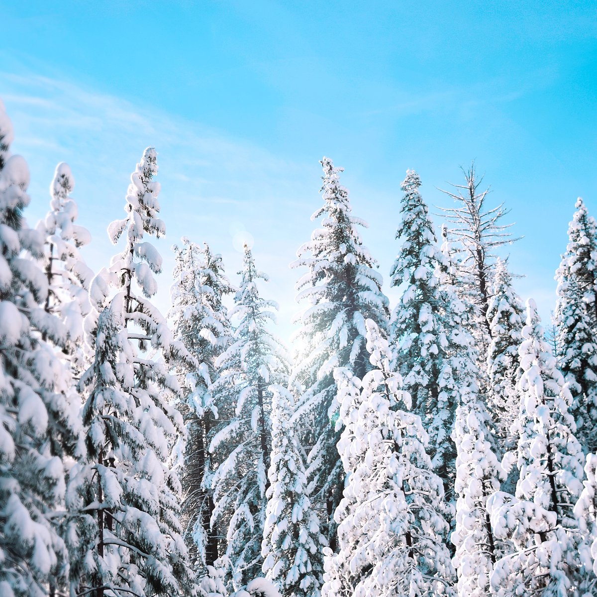 Who else woke up to a #WinterWonderland this morning?❄️☃️
~
#HappyMonday everyone!😄