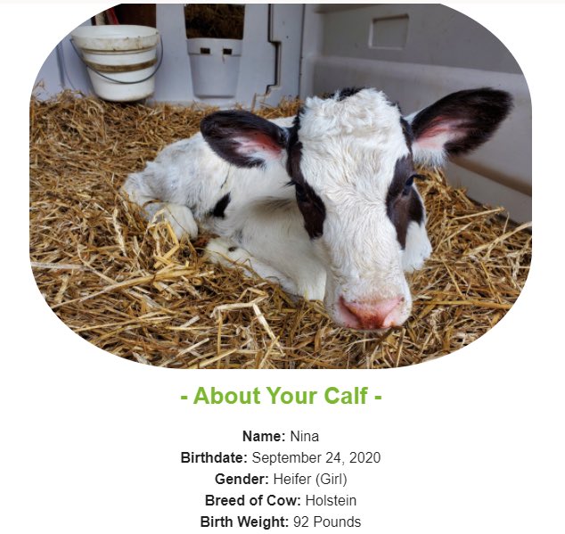 Margaret Feldman tweet media