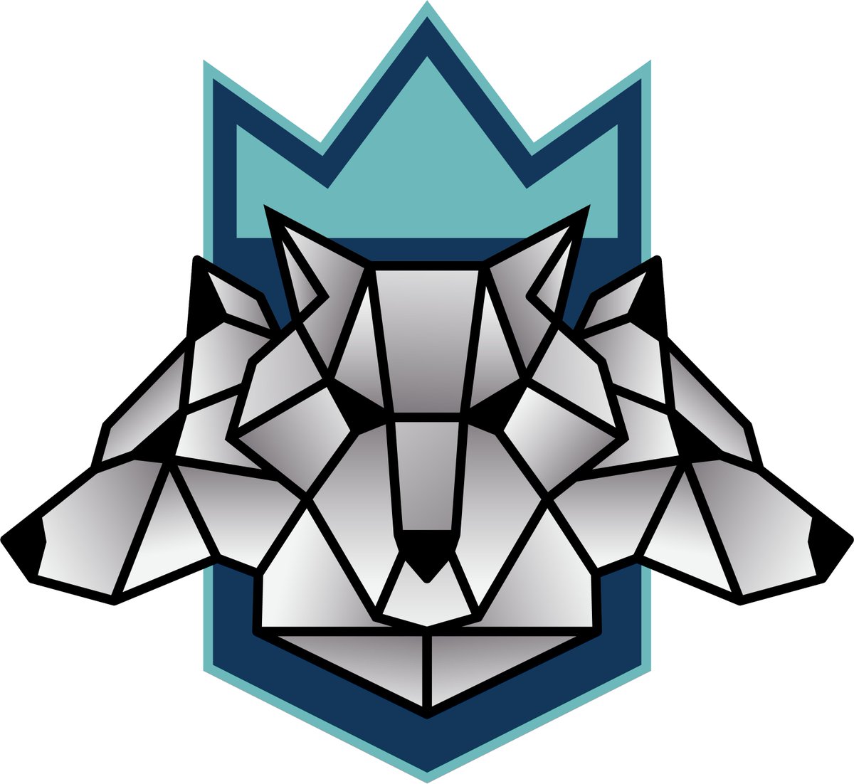 Arena_51_Gaming's tweet photo. Meet Overwatch team #PlatPack powered by Arena 51 Gaming. https://t.co/7u7wP3N5Yx