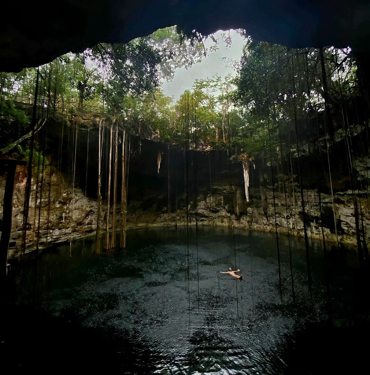 maya_cenote's tweet photo. Inicio de semana ☀️ cultura maya 
¿Sabías que los cenotes representaban portales hacia el inframundo, mejor conocido como "Xibalbá"?
#Yucatan #cenote #travel #photography https://t.co/I11vS0oWQF