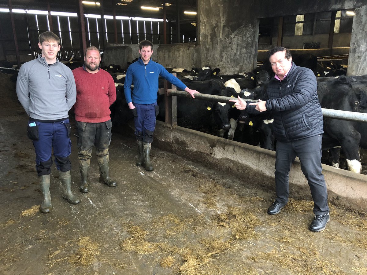 Paudie Feehan tweet media
