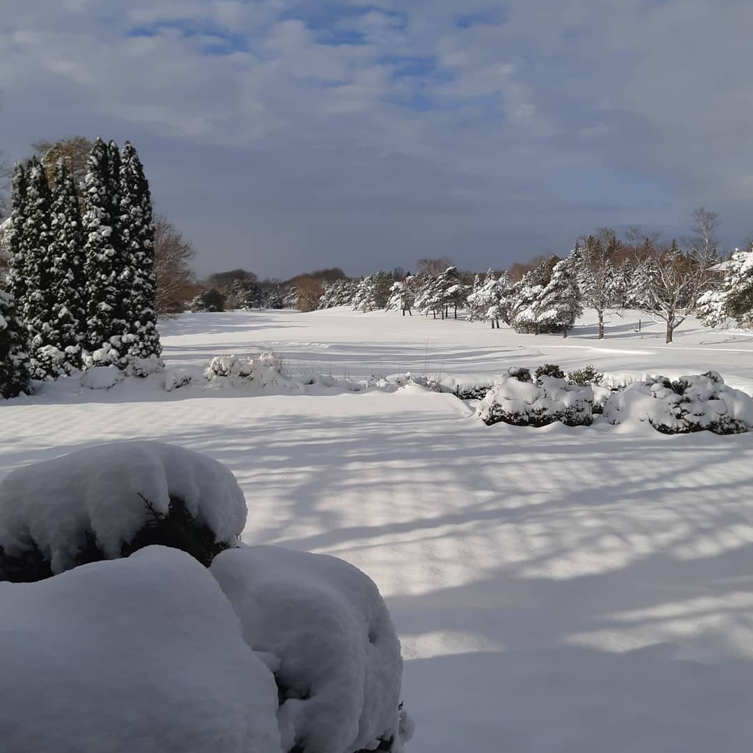 GolfSleepy's tweet photo. Snowy morning at The Hollow #golfontario #golf #stouffville #yorkregion #stouffvillegolf #privateclublif https://t.co/K3OqCvbOie