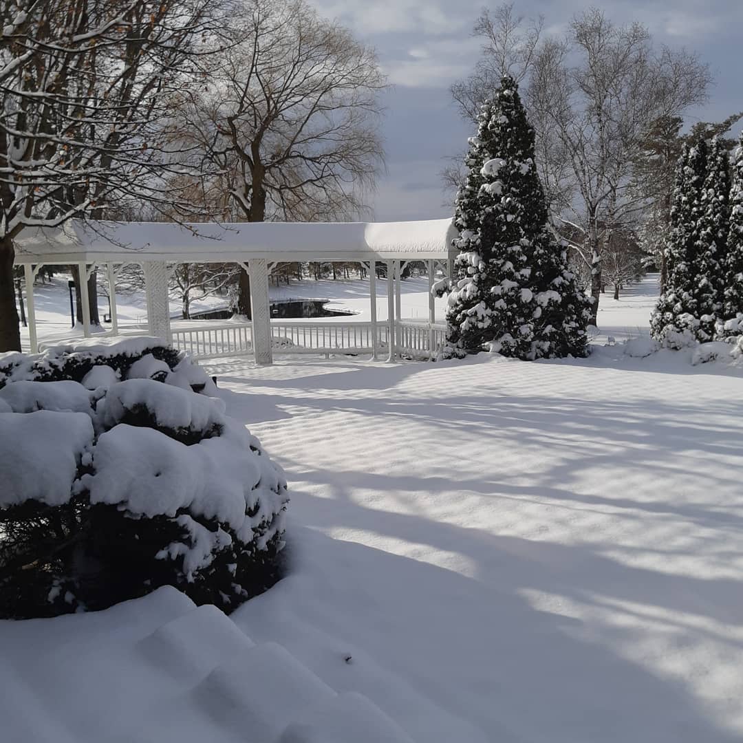 GolfSleepy's tweet photo. Snowy morning at The Hollow #golfontario #golf #stouffville #yorkregion #stouffvillegolf #privateclublif https://t.co/K3OqCvbOie