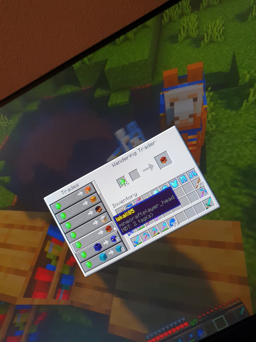 Hilha111's tweet photo. @iskall85 First wandering trading i've found and look what I have here... IskallMan 
Love your content, keep up with the good work 🙏💙 https://t.co/rTqT5k16Di