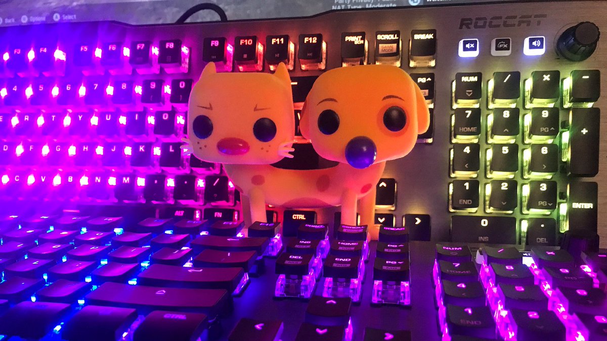 Turtle Beach PC tweet media