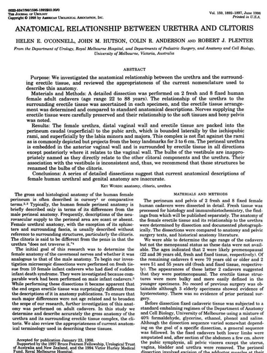 ⛔ BULO de <a href="/el_pais/">EL PAÍS</a>. "Helen O'Connell, descubridora del clítoris..."

❌ FALSO: Su descubridor fue Rufo de Éfeso, primer médico antiguo en describirlo y nombrarlo. O'Connell describió la anatomía completa y su relación con la uretra.