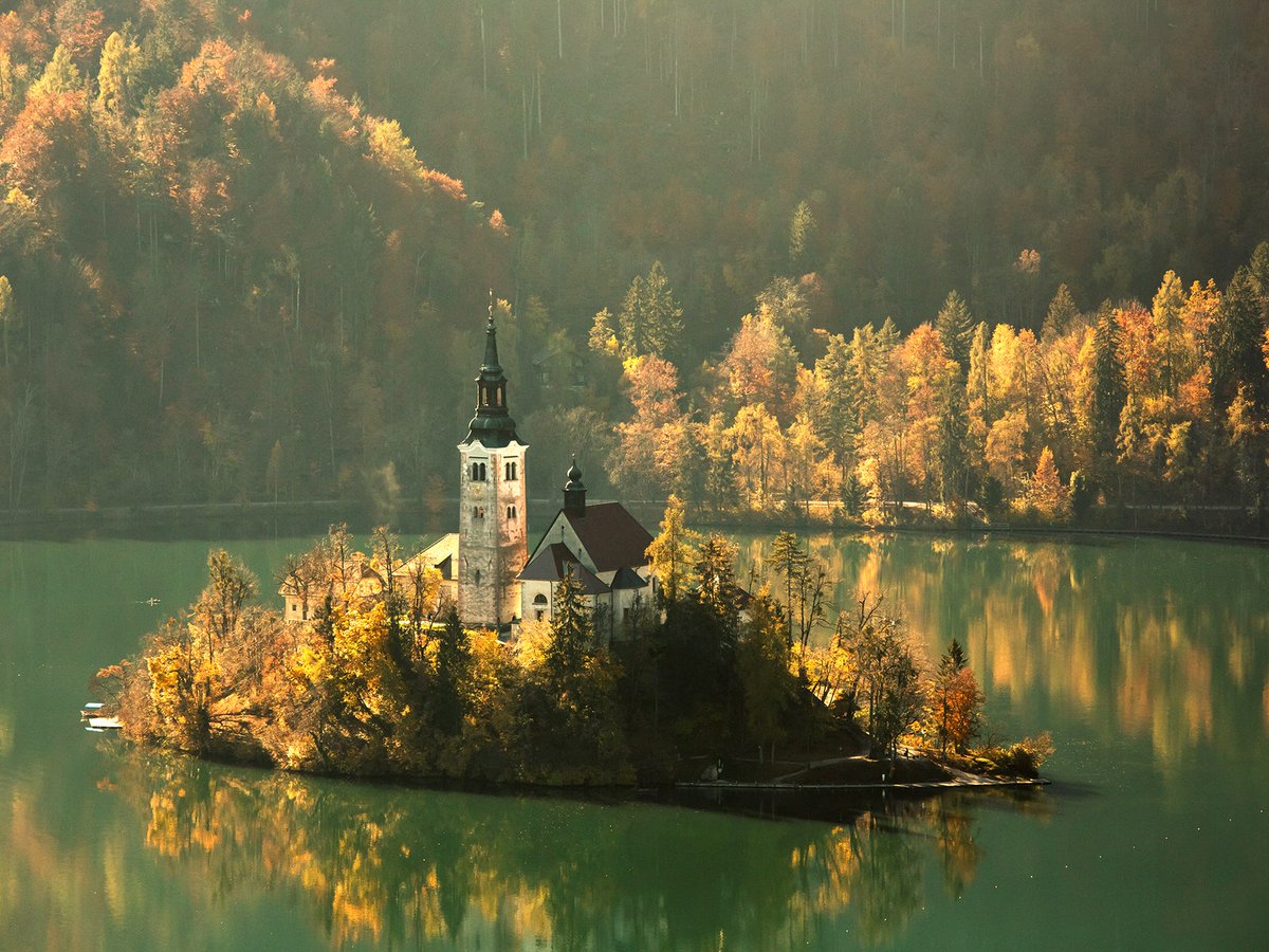 CNTraveler's tweet photo. Is Slovenia on your travel list? If not, these photos of alpine villages, cliffside castles, emerald lakes, fields of white horses, and some of the most beautiful forests in the entire world will convince you to add it. https://t.co/pXajsmX6my https://t.co/ZAyIeXSRJR