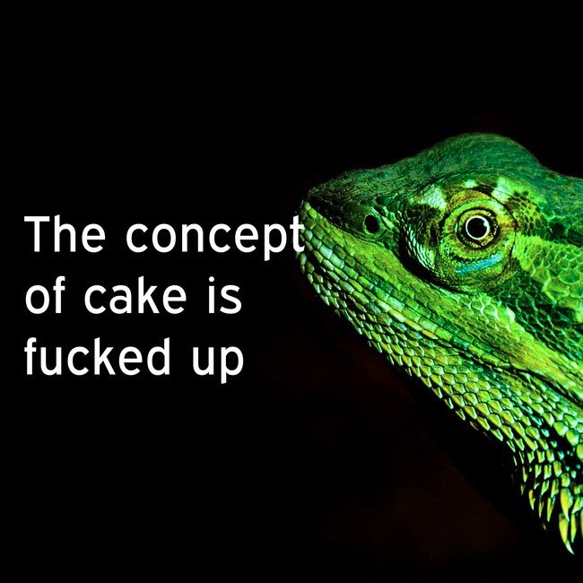 🐸Frog Man🐸 tweet media