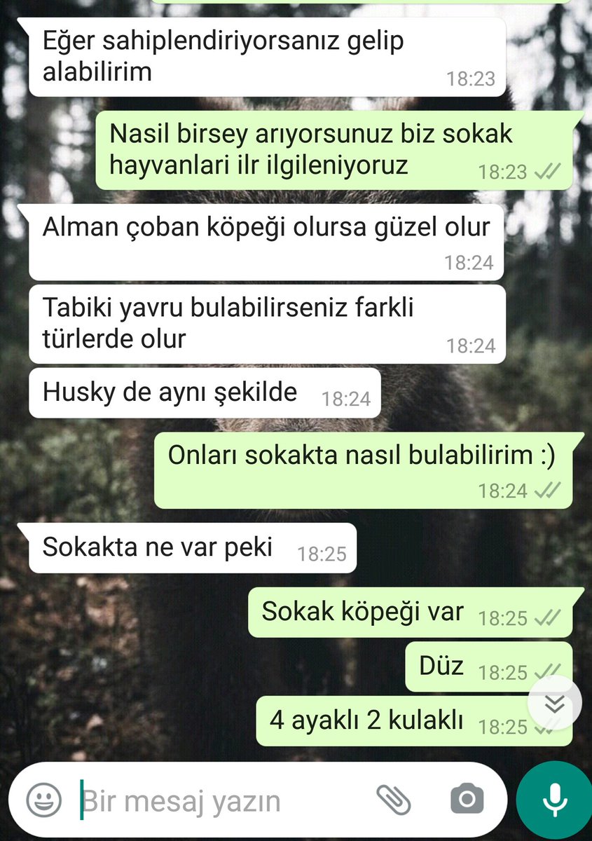 nalsignn's tweet photo. Sokak köpeği diyince kafada canlanana bak te allam https://t.co/sZoW4nZgBP