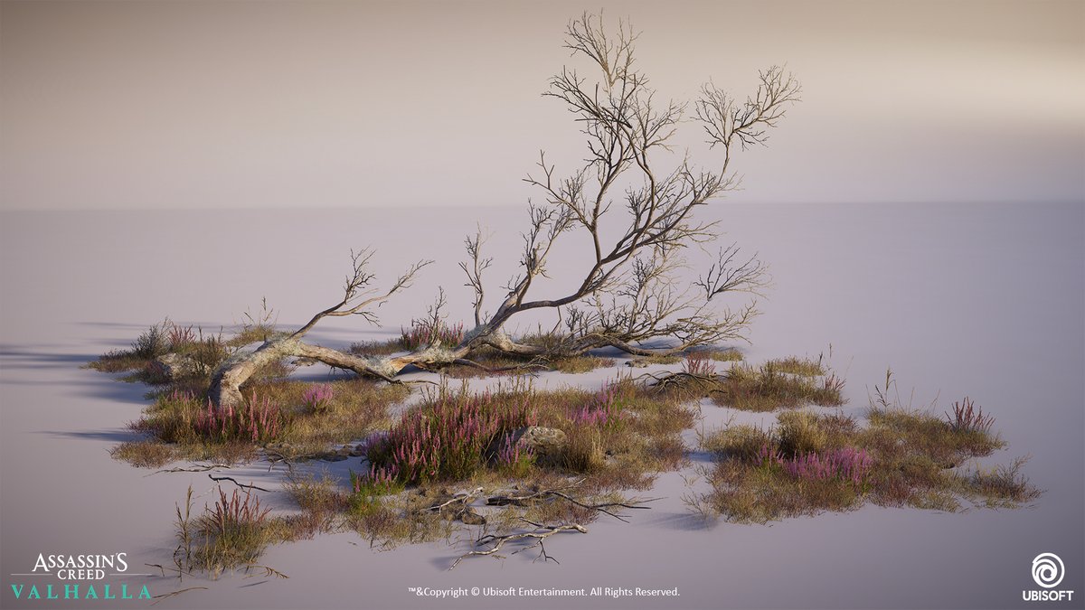 New week, new foliage collections I made for #AssassinsCreedValhalla 💚🌿

The autumn/arid ones were really fun to do! Hope you'll like it 😊

#ubisoftmontreal #AssassinsCreed #gamedev #gameart #SpeedTree #3dmodeling #Flora