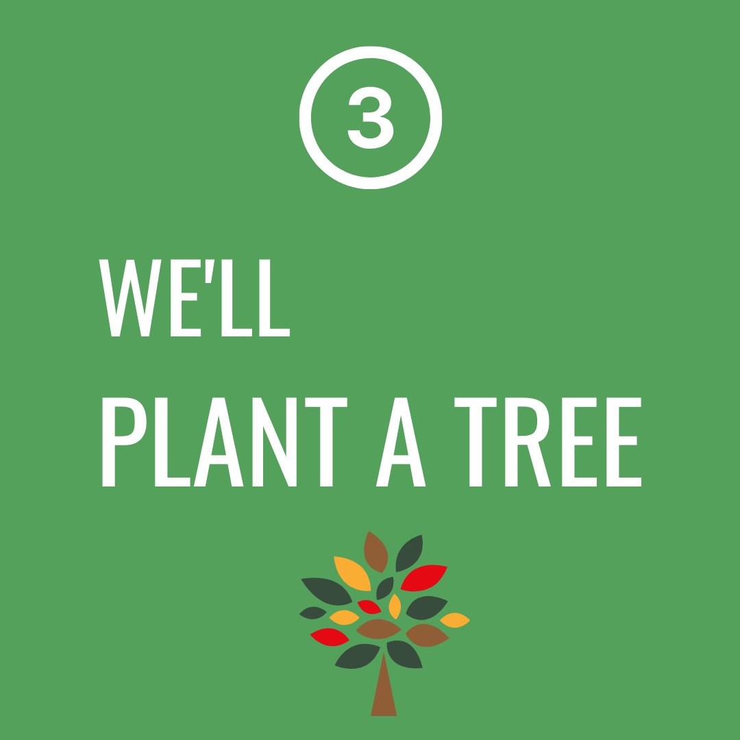 SmartMarkIT's tweet image. 'Tis the season to get a new website and be green about it! We'll plant a tree for every new subscription! #Canada #green #thefutureisgreen #climate