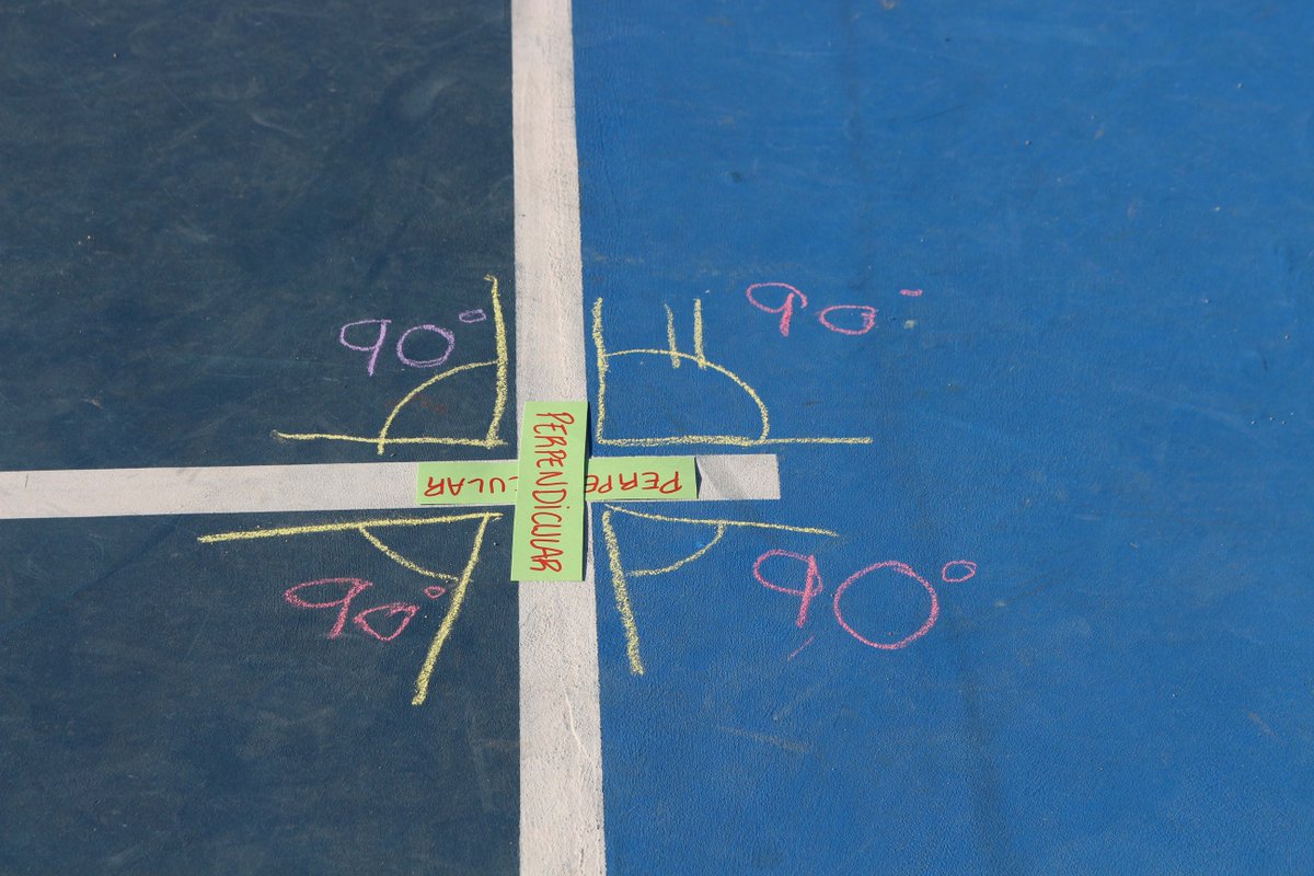 Liceo Europeo tweet media