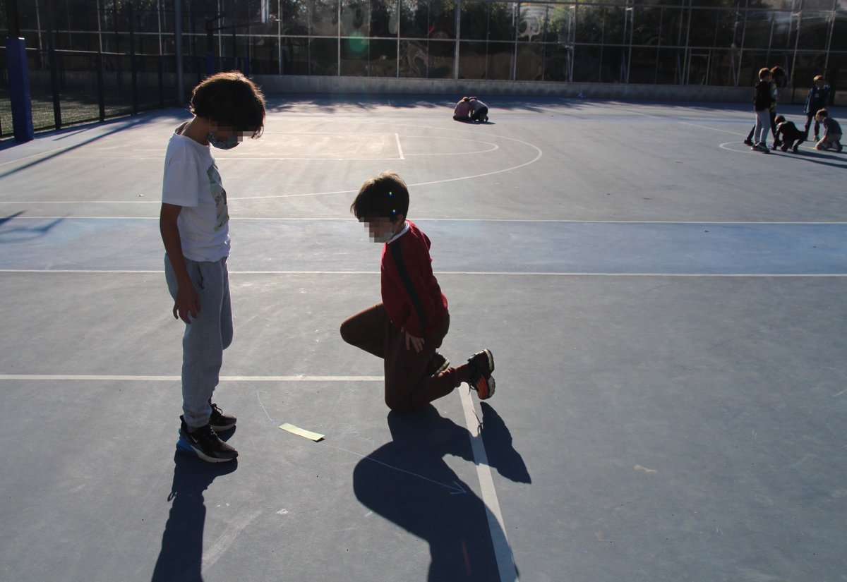 Liceo Europeo tweet media