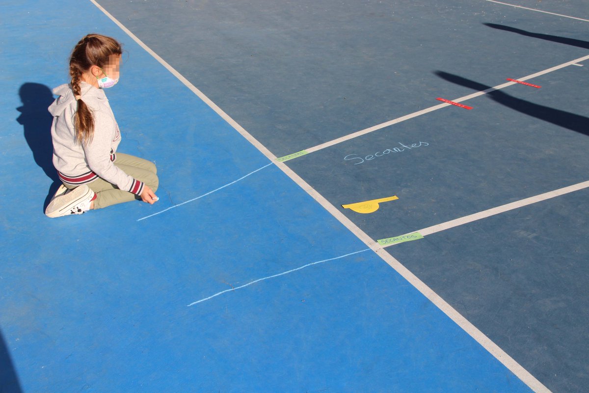 Liceo Europeo tweet media