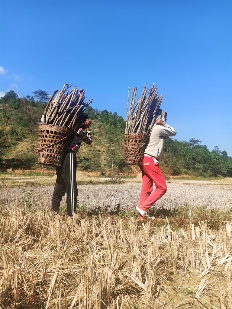 Village Life in Northeast India.

....As winter season arrived, kids collecting firewood 🔥 in forest!

 Shots on OppoF11 Pro 📸
#mobilephotography 
@oppo @oppomobileindia @NorthEast8India @in_northeast