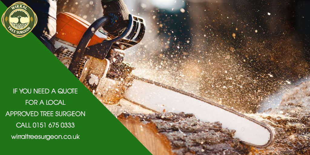 Wirral Tree Surgeon tweet media