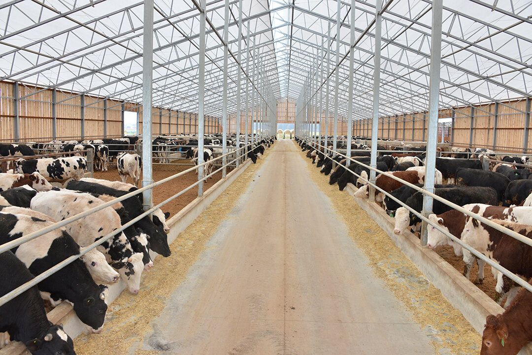WeCover_Steel's tweet photo. Looking for a better barn environment?
Pleasant, reliable and custom-tailored to fit your needs, WeCover does it better.
#barn #barns #happyherd #wecover #wecoverstructures #fabricroof #fabricbarns #farming #farmingsolutions #localfarms #happyherd #happycows #herdhealth https://t.co/mFFasW5KDe