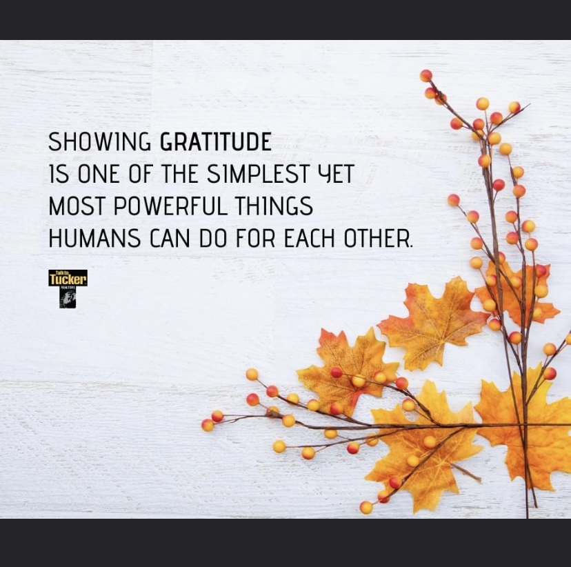 MandyFc's tweet photo. #bekind #showgratitude #weareallhumans #mondaymotivation #happymonday #realtalk #fctucker #tuckeragent #indyrealestate #realtor #realtorinindianapolis #workhard https://t.co/bOMlgYFJUV