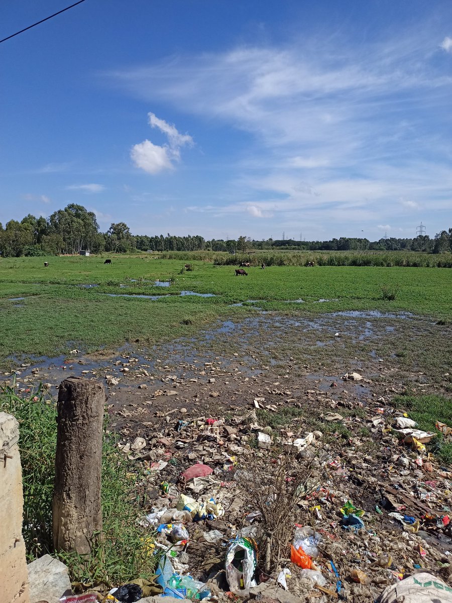 kirantn's tweet photo. @BBMPCOMM @DKSureshINC @BBMPSWMSplComm @BBMPSWMJtComm @karnatakaspcb sewage water from Rayasandra is directly let into lake, STP water of near by apts are getting dumped into lake bed..street light are removed and all action happens at night time.where is the governance.GundaRaj! https://t.co/MUJyzUPXxr