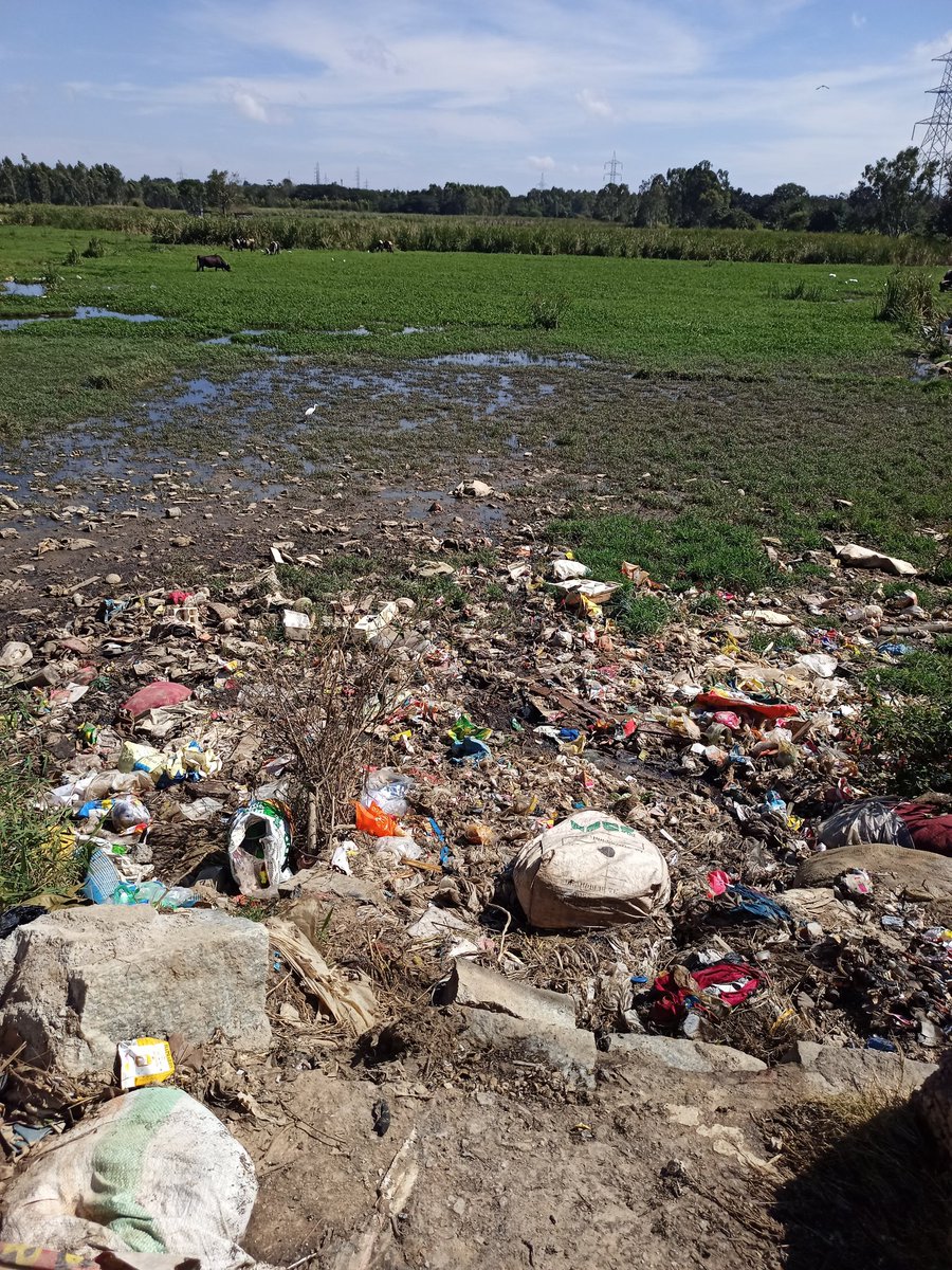 kirantn's tweet photo. @BBMPCOMM @DKSureshINC @BBMPSWMSplComm @BBMPSWMJtComm @karnatakaspcb sewage water from Rayasandra is directly let into lake, STP water of near by apts are getting dumped into lake bed..street light are removed and all action happens at night time.where is the governance.GundaRaj! https://t.co/MUJyzUPXxr