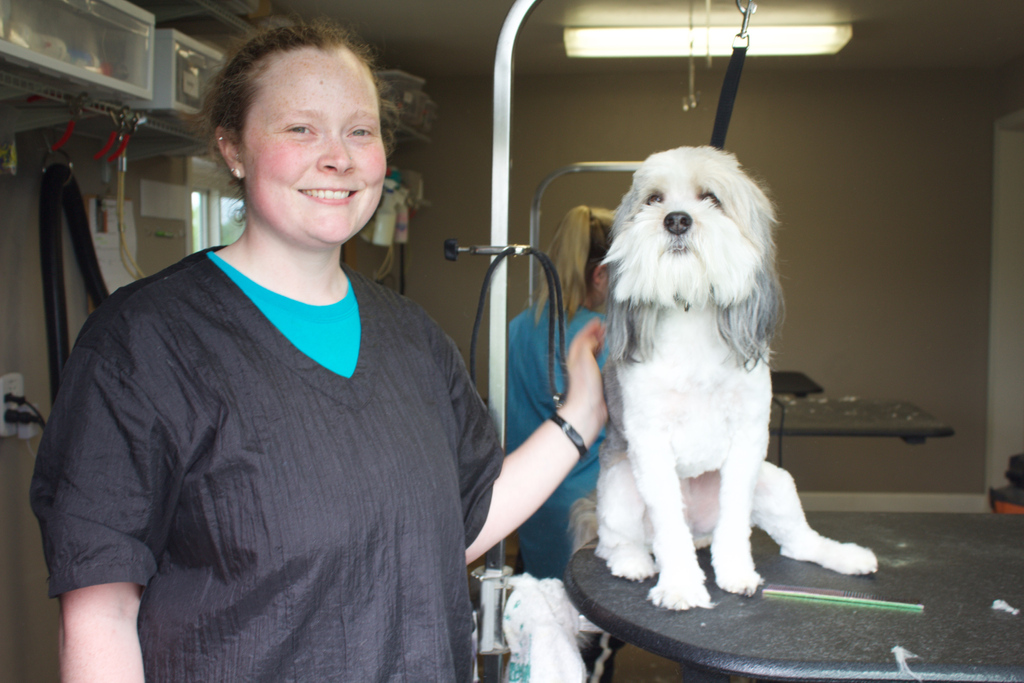 CanineAcresFF's tweet photo. Don't forget! Your pet can get an exit bath for $25 when they stay with us this Thanksgiving weekend. Just a couple spots left, so snag one today before they're gone! 

Book online or call the shop! https://t.co/SzwSBIs400
