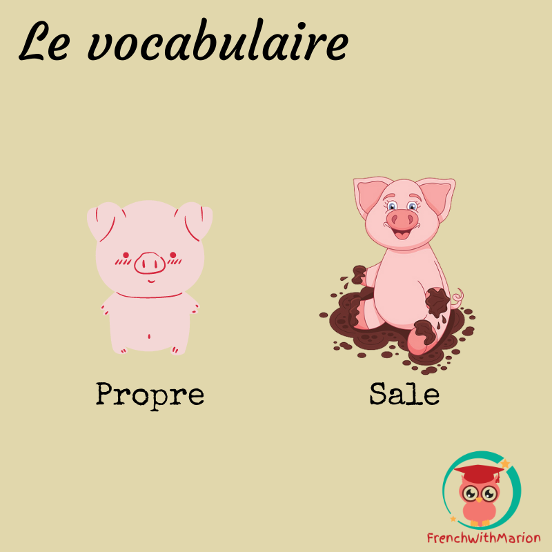 FrenchWthMarion's tweet photo. Apprenez avec les contraires! 🐷
#learnfrench #tefaq #vocabulary https://t.co/zREZWiJrqQ