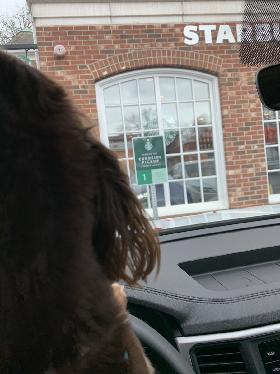 D_G_B_2's tweet photo. @SbuxDarien @croimc Miles enjoyed his decaf this morning. https://t.co/6NnyZQpn7P