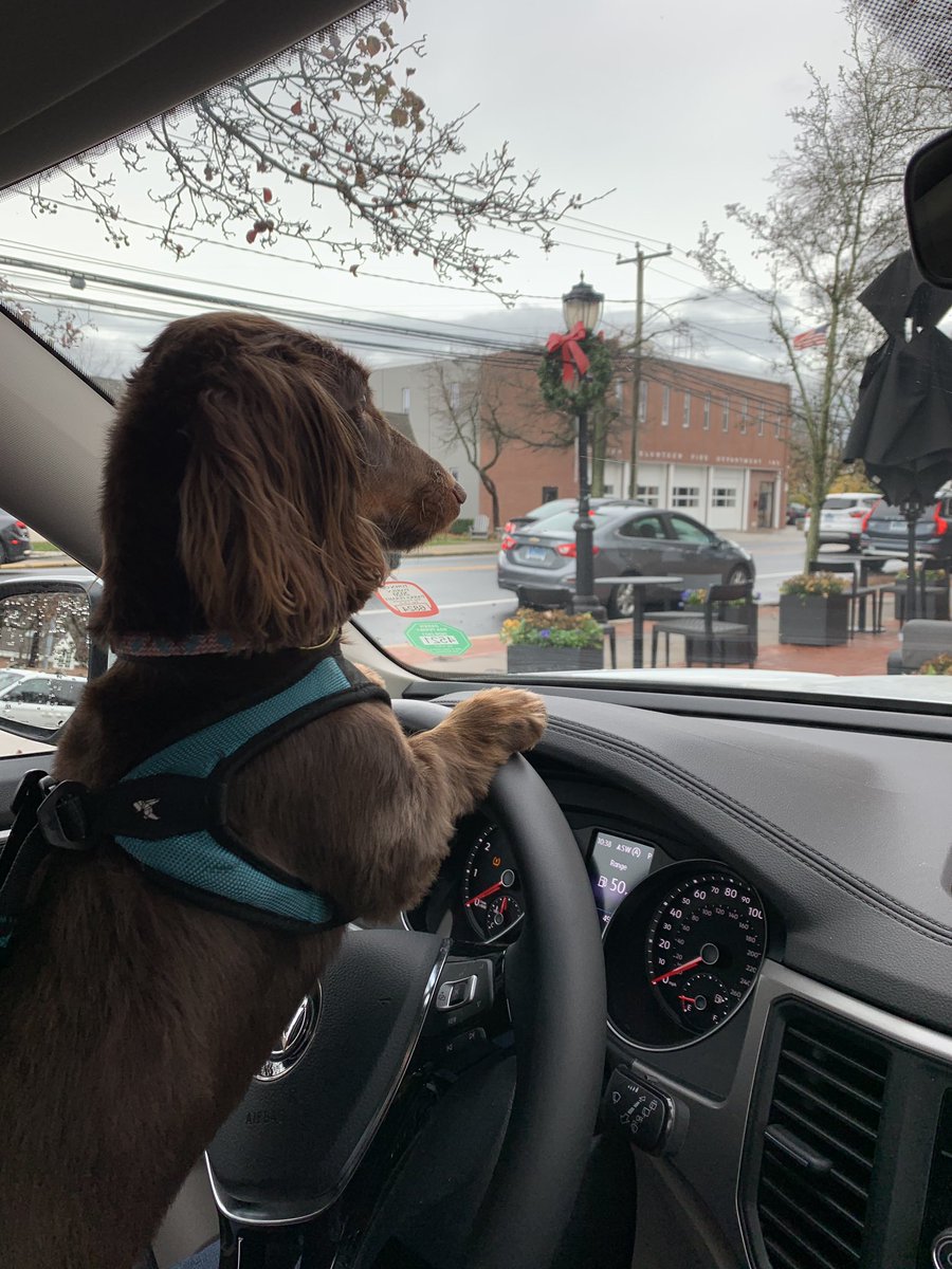 D_G_B_2's tweet photo. @SbuxDarien @croimc Miles enjoyed his decaf this morning. https://t.co/6NnyZQpn7P