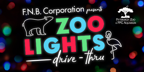 PGHMacaroniMama's tweet photo. Pittsburgh Friends β This is a must-do this holiday season in the βBurgh β¦ Zoo Lights Drive-Thru at @PghZoo. Tickets must be purchased in advance, so get yours ASAP - https://t.co/DKZAUXSryU #ZooForAll #PghDriveThruZoo ad https://t.co/Z43kB8q1ic