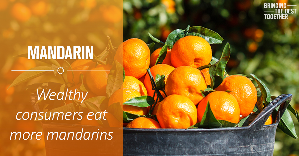 In most European countries mandarins are in the top 5 most popular fruits. In this article you get to know why mandarins are often eaten by consumers with a higher spending profile…
#Levarht #bringingthebesttogether #healthysnack #mandarin #citrus