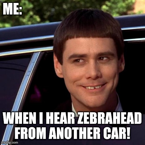 hazel_nut49's tweet photo. Monday morning commute got me going like! 
🦓👽🛸🎸🥁🎤🎶🤘🍕🍻 #zebrahead #mfzb #callyourfriends #braininvaders #sex #rocknroll #pizza #beer #party #punkrock https://t.co/FxP8SjT6MA