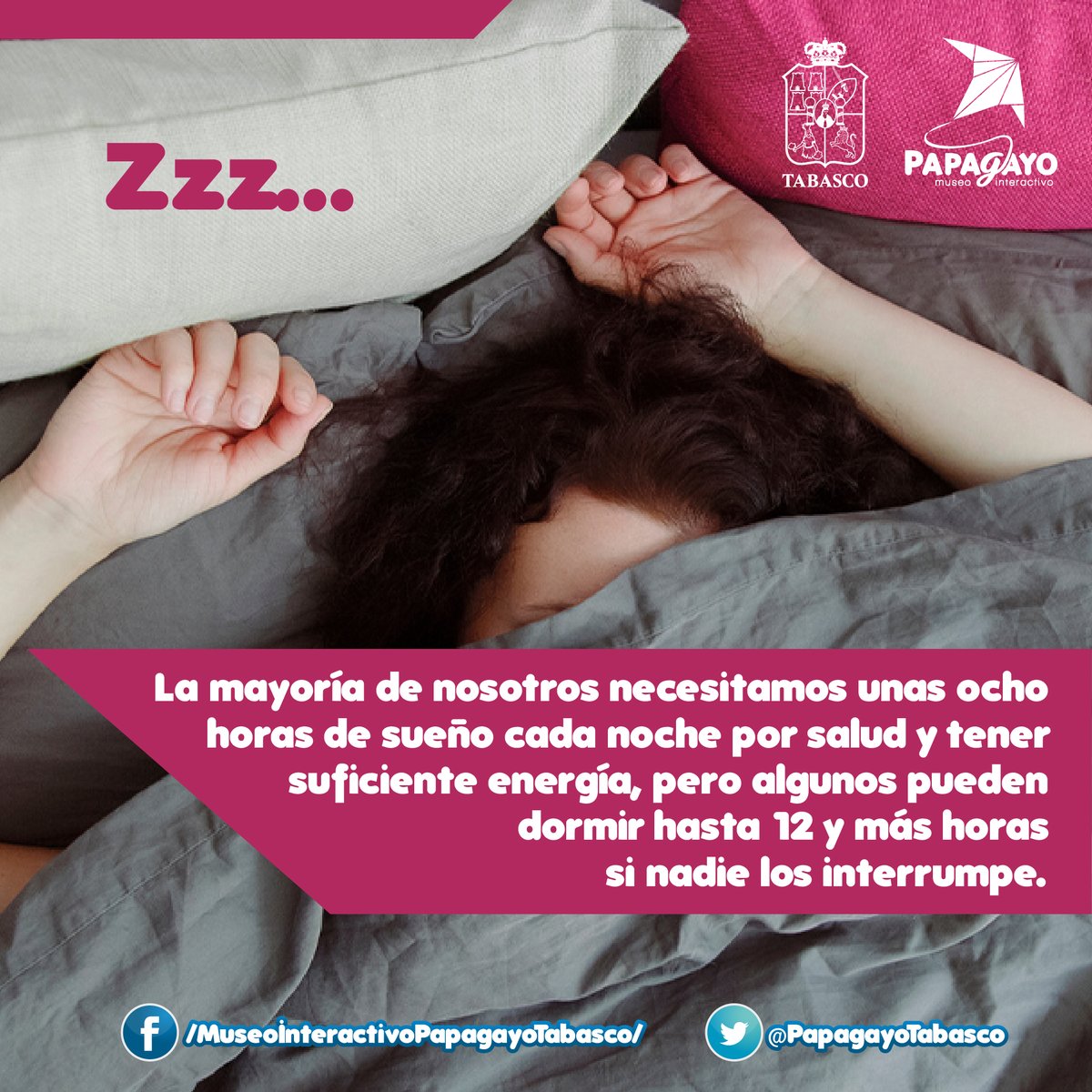 PapagayoTabasco's tweet photo. ¿Sabías qué?
(っ◔◡◔)っ ♥ Te dejamos con el dato curioso del día... ♥
#MuseoInteractivo #Curiosidades #DatosDivertidos #YOconPapagayo
@Gobierno_Tab
@Cultura_Tabasco @ccytet
@AMMCCYT
@SETabasco
@Turismo_Tabasco
@AMHMT
@AmavTabasco https://t.co/TdZsJ2t26a