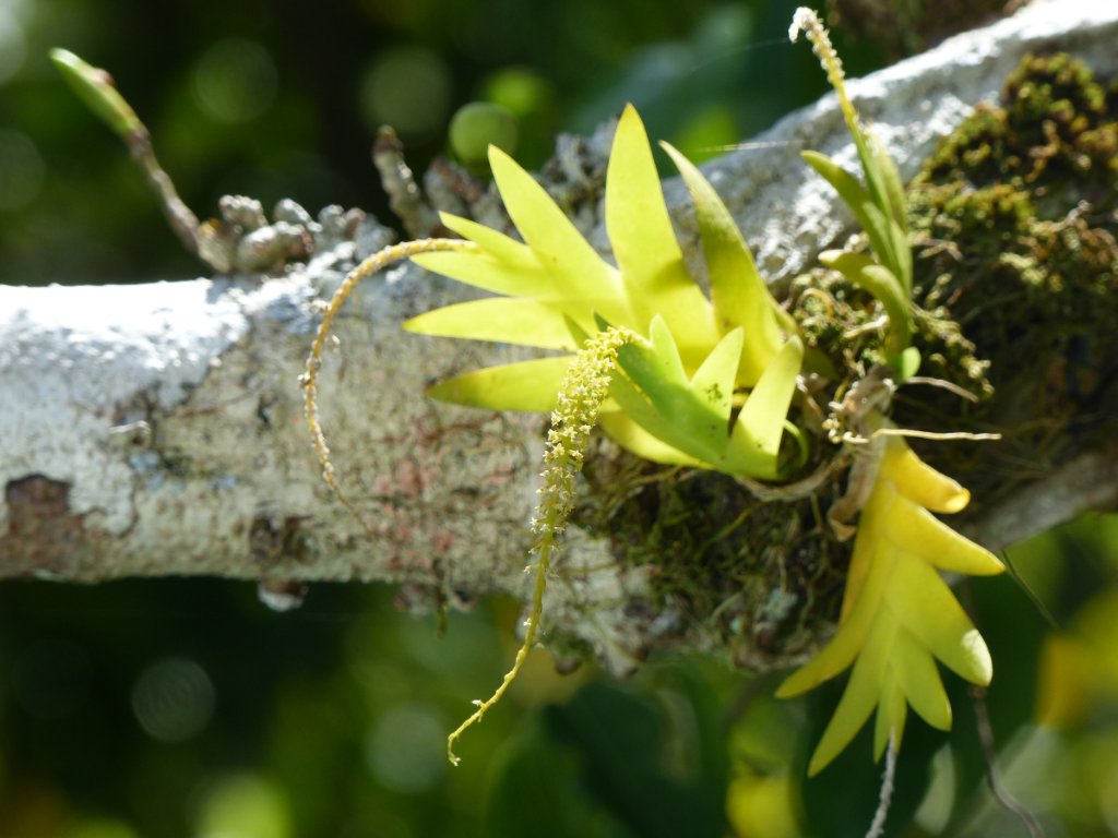 BenjaminJCrain's tweet image. myemail.constantcontact.com/2020-2-NAOCC-N…