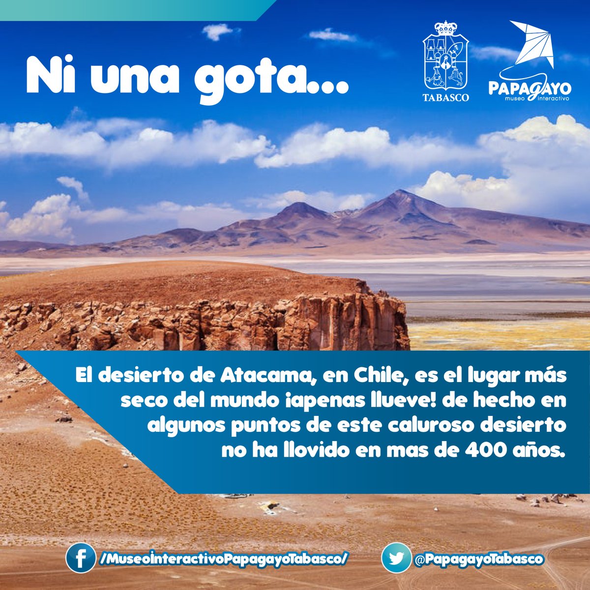 PapagayoTabasco's tweet photo. ¿Sabías qué?
(っ◔◡◔)っ ♥ Te dejamos con el dato curioso del día... ♥
#MuseoInteractivo #Curiosidades #DatosDivertidos #YOconPapagayo
@Gobierno_Tab
@Cultura_Tabasco @ccytet
@AMMCCYT
@SETabasco
@Turismo_Tabasco
@AMHMT
@AmavTabasco https://t.co/kUb06YC578