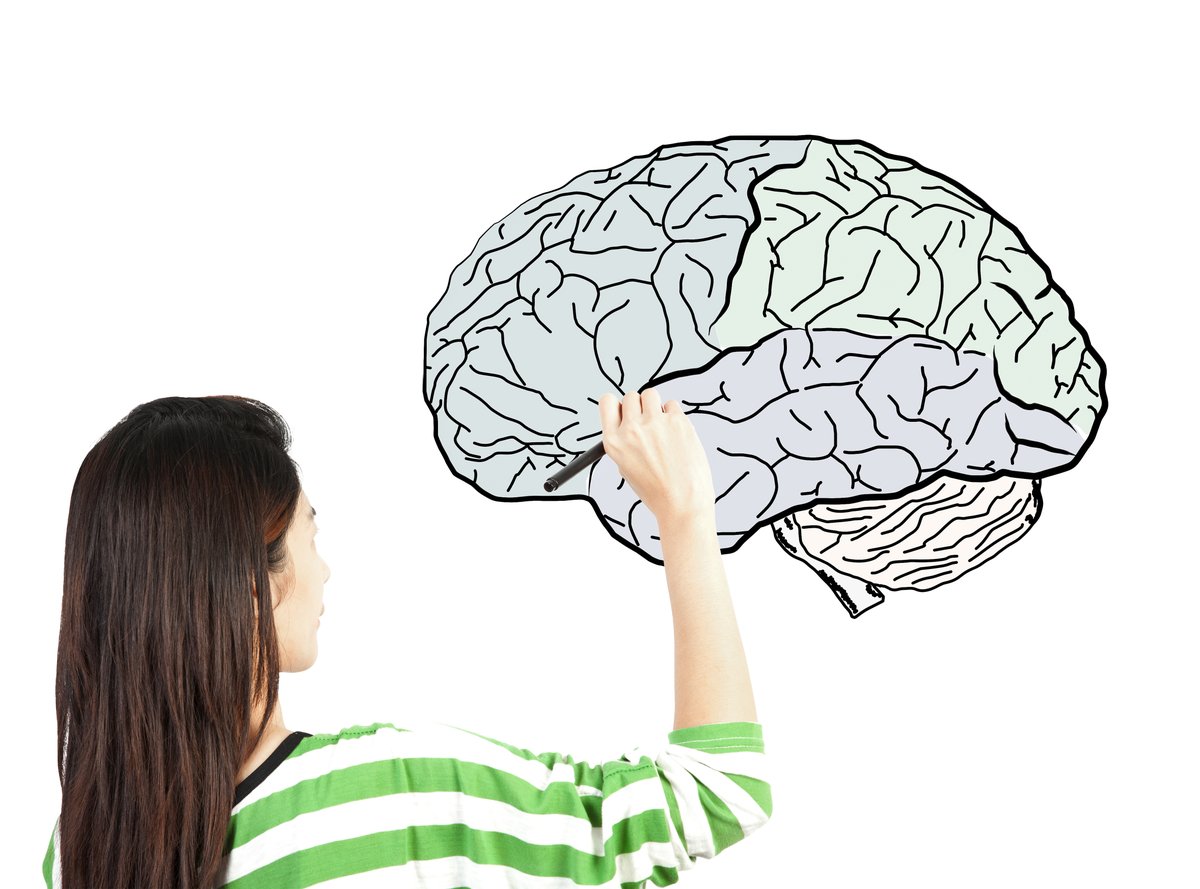Interaktion_UMR's tweet photo. Hackathon für Neurowissenschaftler:innen &amp; Artverwandte: Als Teil des Global Brain Hack beschäftigt sich der Marburg Brain Hack 2020 @OpenScienceUM dieses Jahr vom 30.11.-13.12. insbes. mit neurowissenschaftlicher Lehre. Anmeldungen bis 30.11. Details:  https://t.co/uF1q3ssIvj https://t.co/LefodyRLau