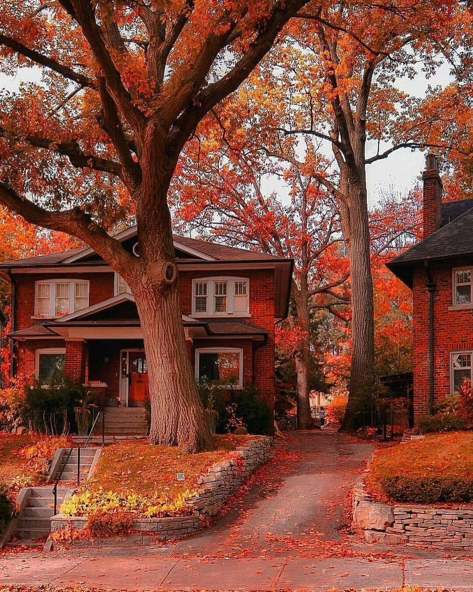 Int_MP's tweet image. Houses With #Fall Color In #Canada