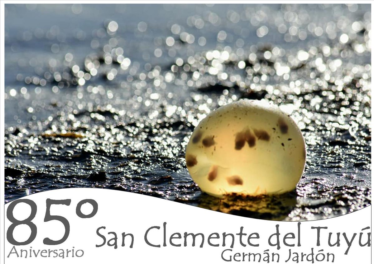 GermanJardon's tweet photo. ¡Felices 85° San Clemente!
Nuestro lugar en el mundo, el que nos ve crecer, trabajar y formar una gran familia. 
Gracias por tanto https://t.co/DT6LNXuE63