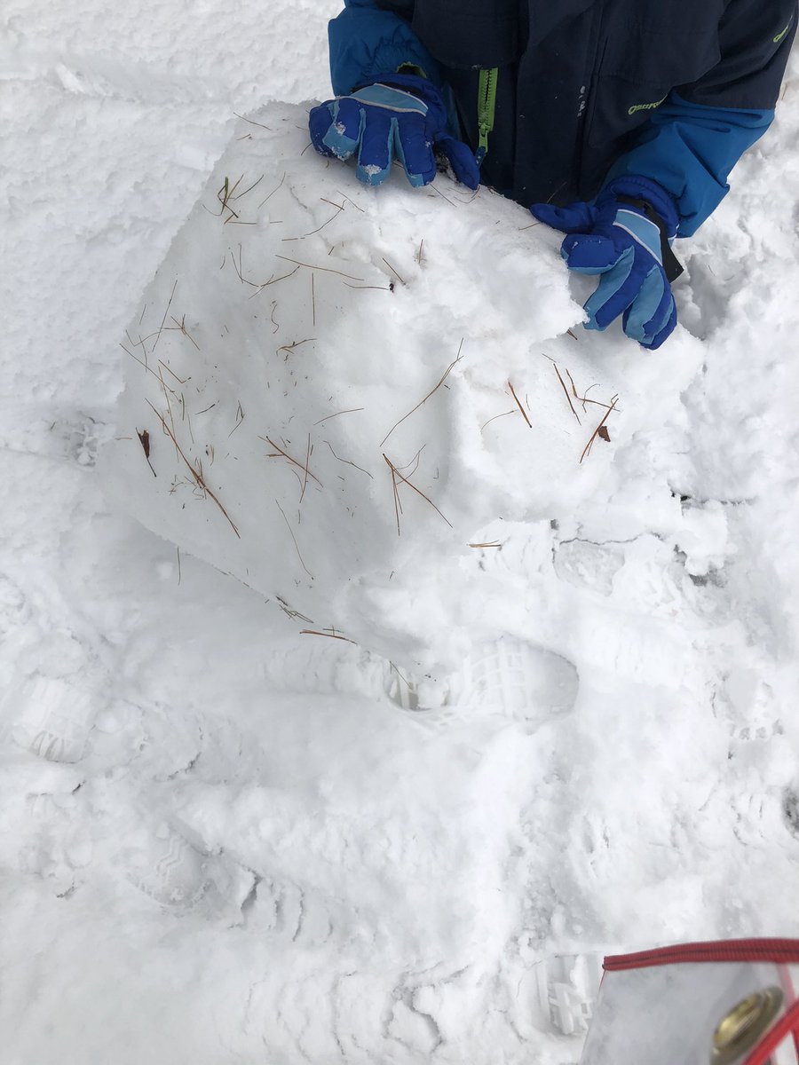 MrsKimsClass1's tweet photo. Combining Gym and Math today. Gym: worlds strongest person contest! 😂 Math: make shapes with snow. They realized if they made a sphere, they could make a snowman! @GoodfellowPS @SCDSB_Schools @scdsbmath #mathfun #snowmath https://t.co/ZTRpMBVp1F