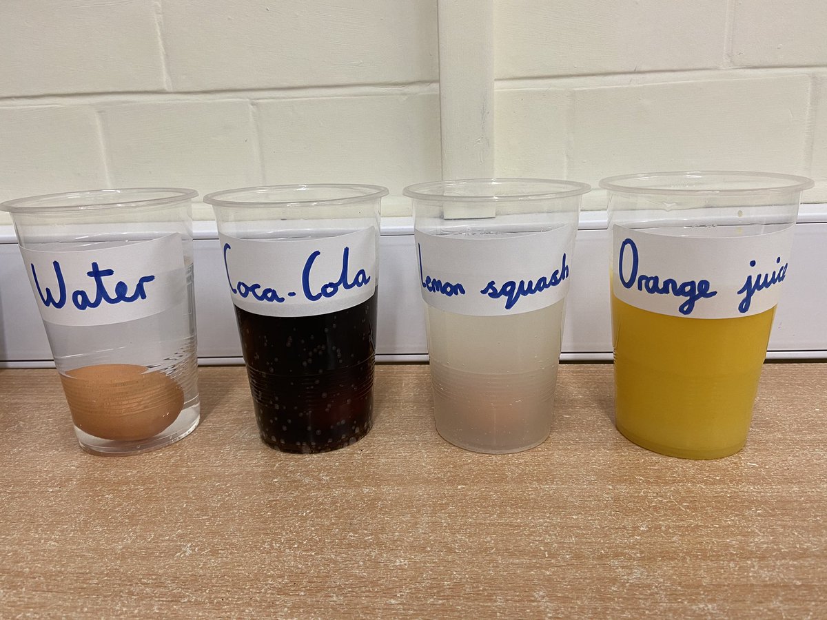 @HothamMissCopner (@hothammisscopn1) on Twitter photo Today Year 4 have set up an eggs-ellent investigation into the effects a range of liquids may have on our teeth. #HothamPrimarySchool <a href="/HothamMissThorp/">Miss Thorp</a> Today Year 4 have set up an eggs-ellent investigation into the effects a range of liquids may have on our teeth. #HothamPrimarySchool <a href="/HothamMissThorp/">Miss Thorp</a>