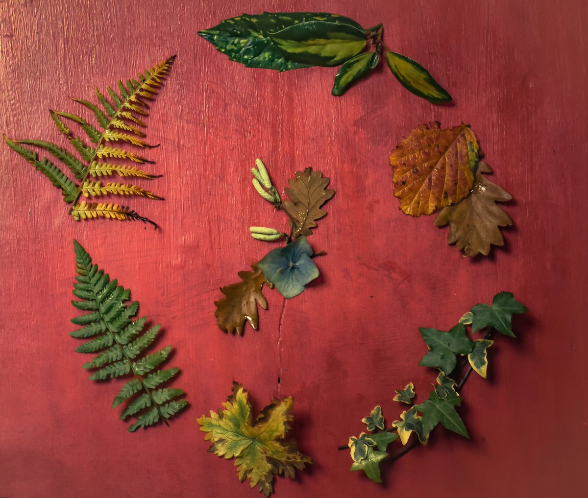 WinterPeachUK's tweet image. For anyone struggling at the moment, this book is a must.  Beautifully written and photographed with projects to suit all abilities.  I love dipping into it for winter inspiration. 
#photography #nature #makingwinter #creativity #goodreads