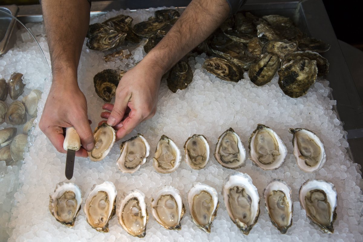 Wellfleet Shellfish tweet media