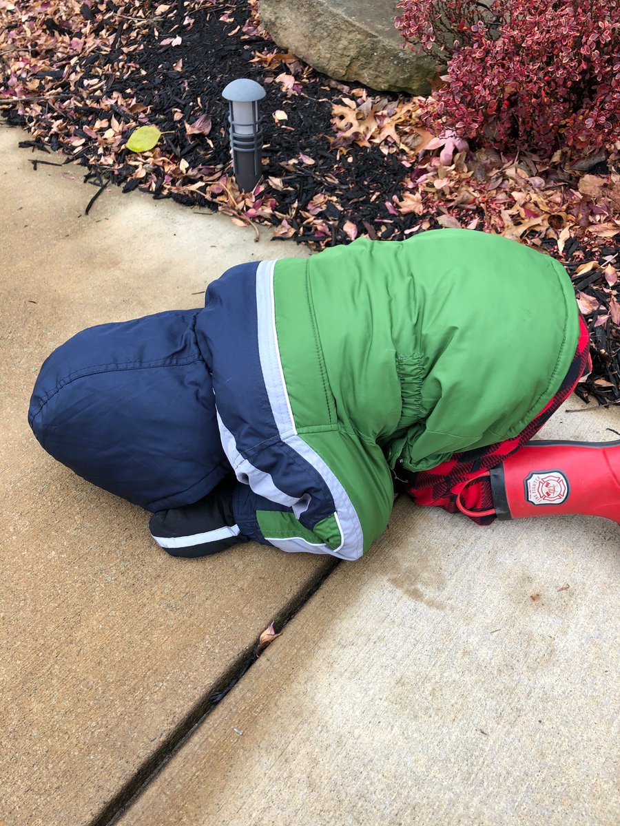 lebarbant's tweet photo. 20 mins trying (and failing) to convince my son that it’s too cold and wet for a walk. 

15 mins getting him dressed in his cold weather gear. 

10 mins trying to get him out the door (he drags his feet when he’s excited). 

3 minutes into the walk: https://t.co/7GdMknVe26