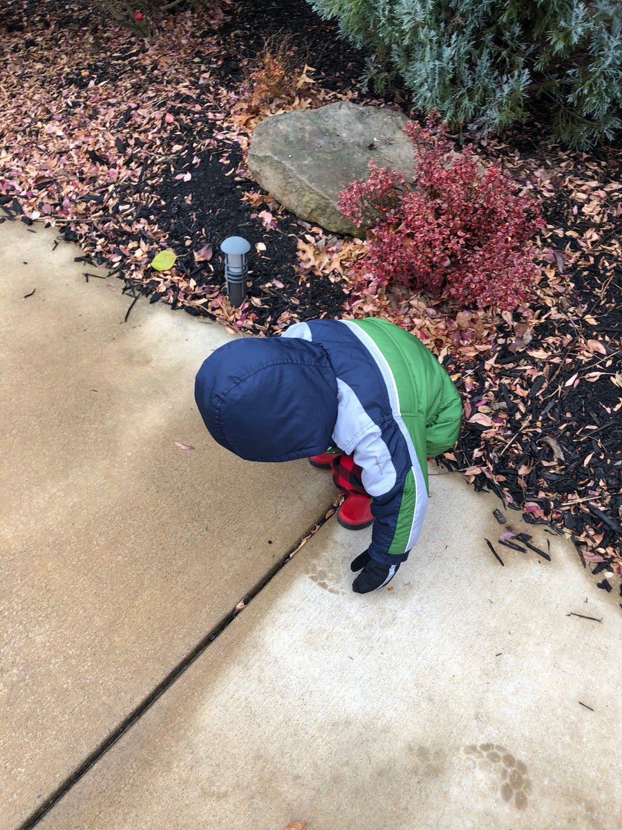 lebarbant's tweet photo. 20 mins trying (and failing) to convince my son that it’s too cold and wet for a walk. 

15 mins getting him dressed in his cold weather gear. 

10 mins trying to get him out the door (he drags his feet when he’s excited). 

3 minutes into the walk: https://t.co/7GdMknVe26
