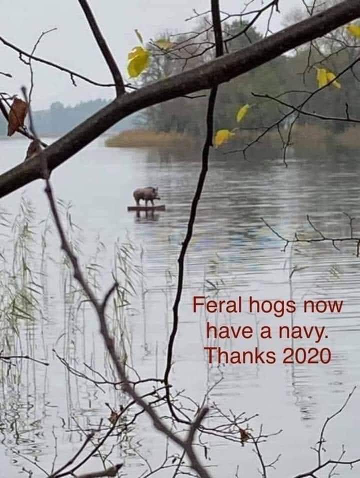 Rex the TV Terrier ® 🐾 And Spike! (@rexthetvterrier) on Twitter photo 