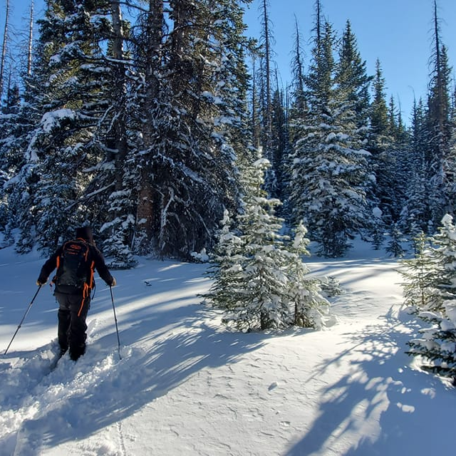 ClimberJim's tweet photo. Fresh powder and blue skies at #CameronPass last week And we saw a bald eagle circling above us! It was gorgeous and cold at Zimmerman Lake near where the 209,000-acre fire started. Nature is resilient, and so are humans. #resilienceexpert https://t.co/F08l28ofpz